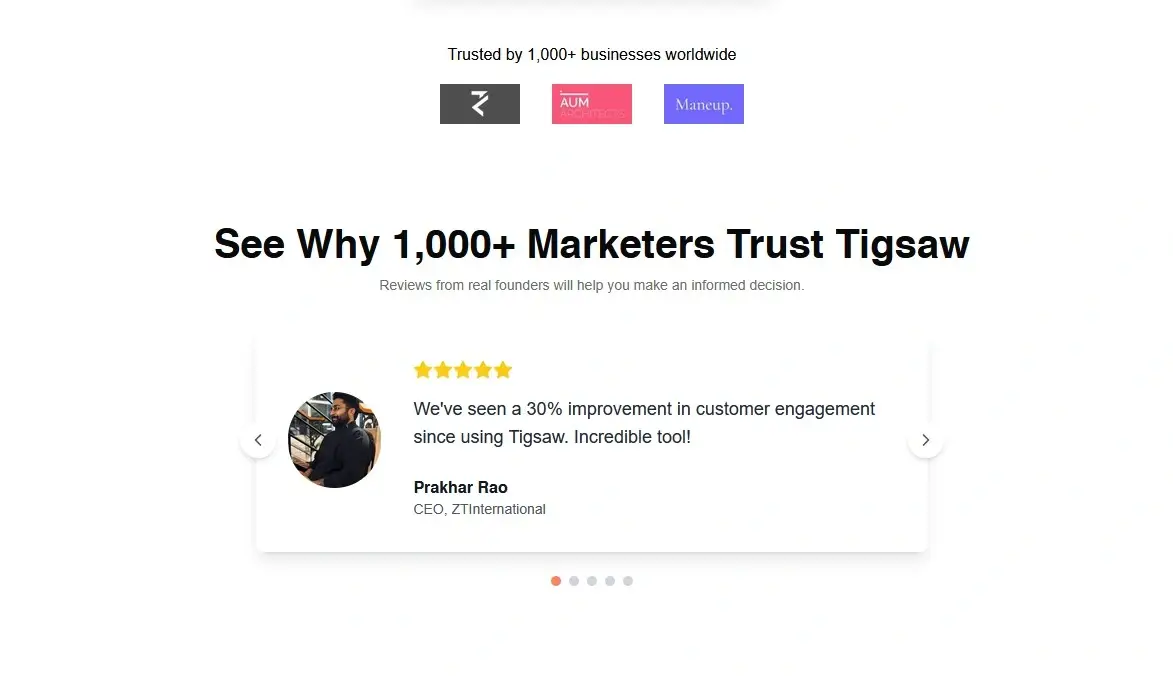 Tigsaw Review