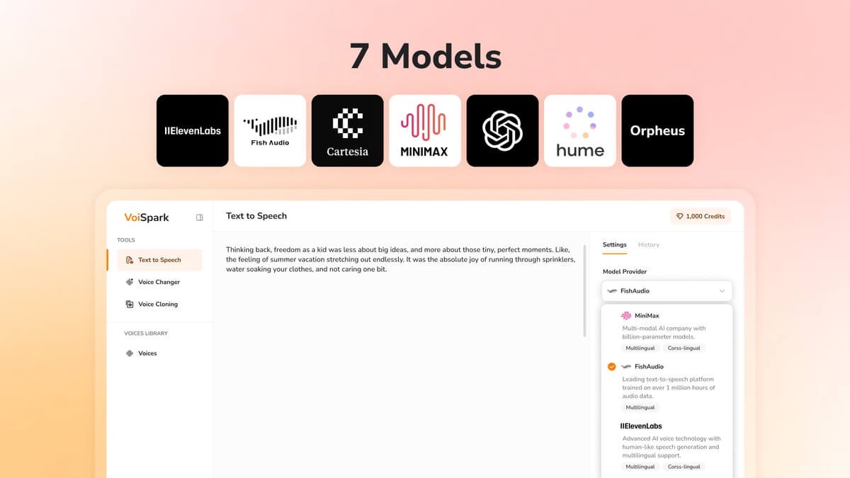 Voispark Lifetime Deals Review