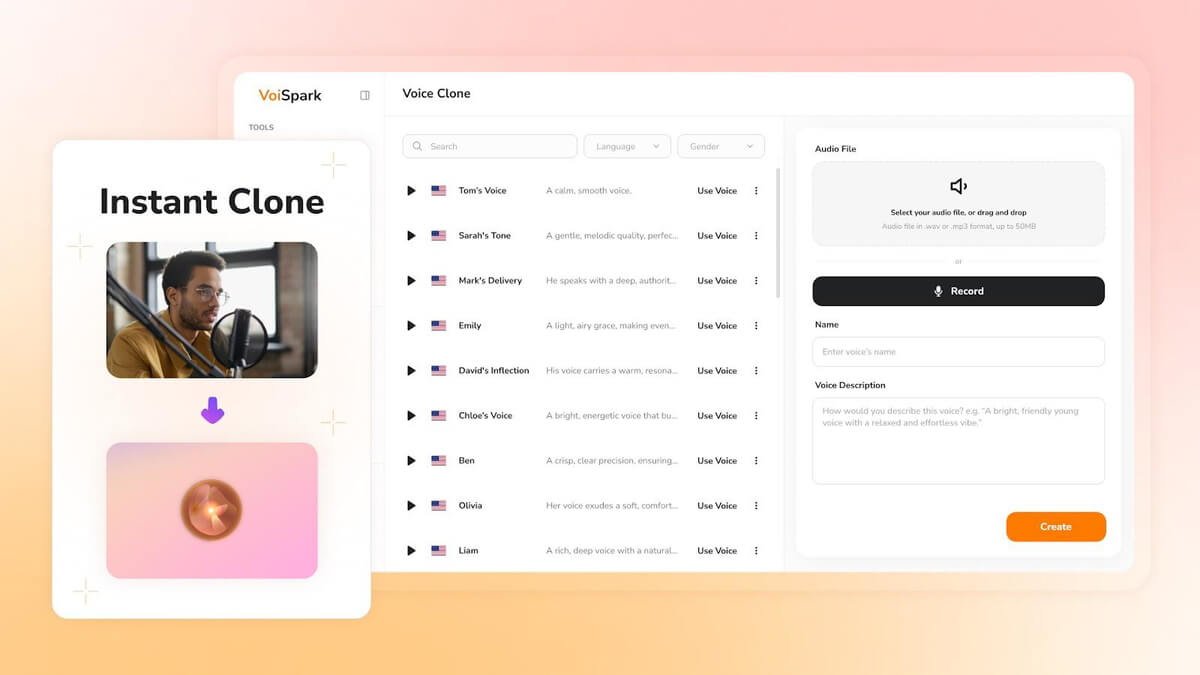 Voispark Lifetime Deals Review