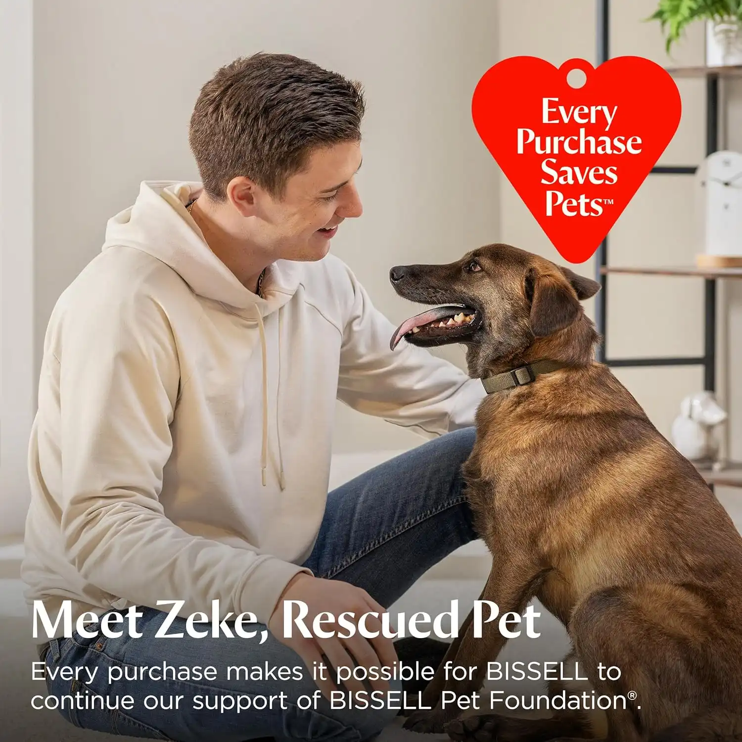 BISSELL Little Green Portable Carpet and Upholstery Cleaner